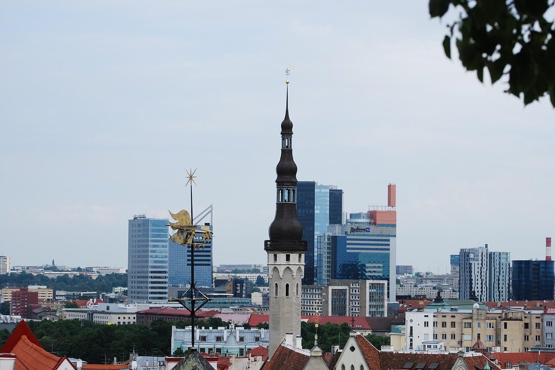 tallinn, city, houses, estonia, tallinn, tallinn, tallinn, tallinn, tallinn, estonia